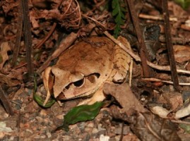 IMG_99_27